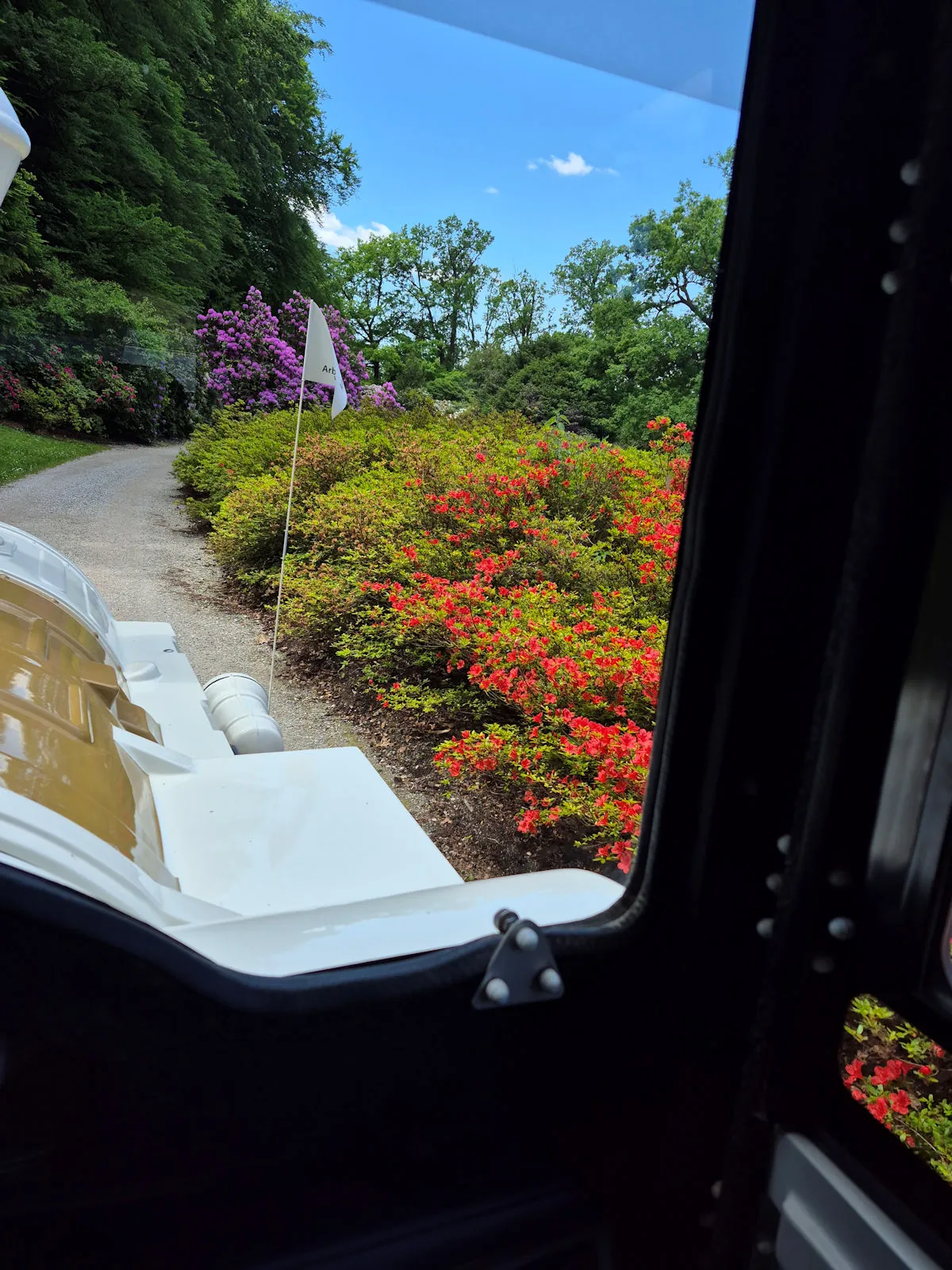 View through the train window of a path lined with blooming rhododendrons and azaleas