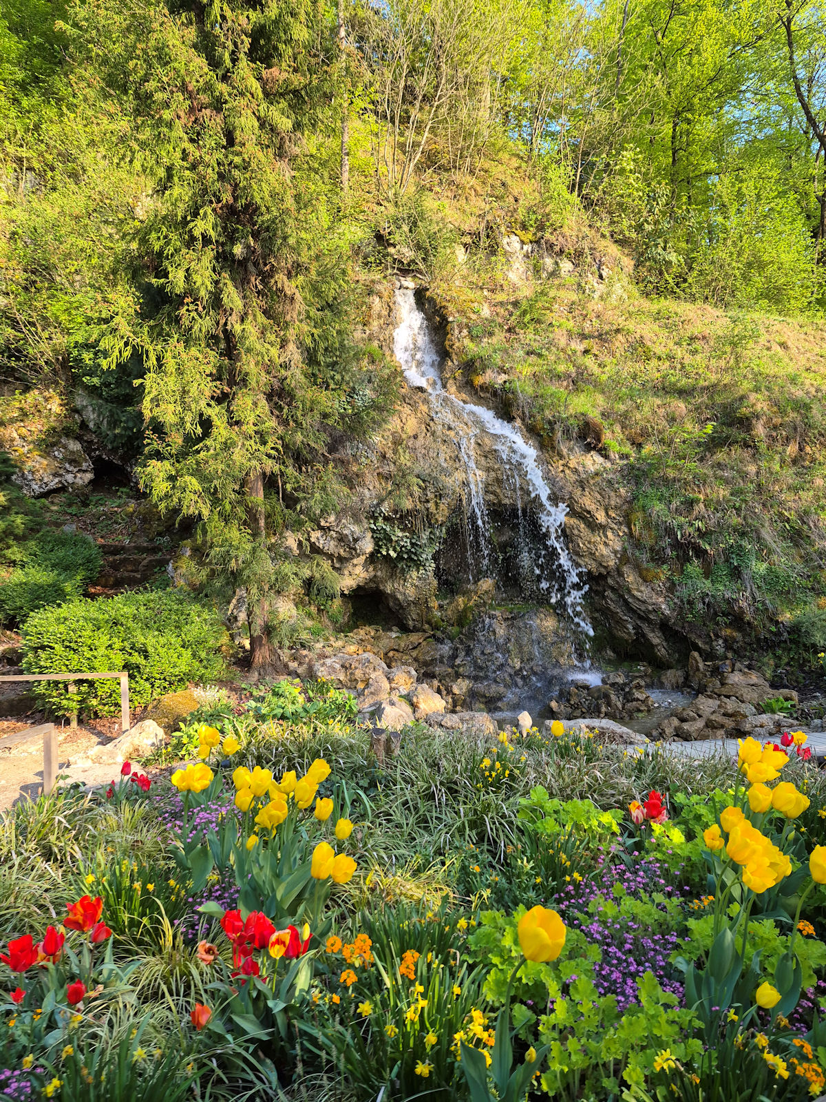 Slap obdan s tulipani in spomladanskim cvetjem v Arboretumu