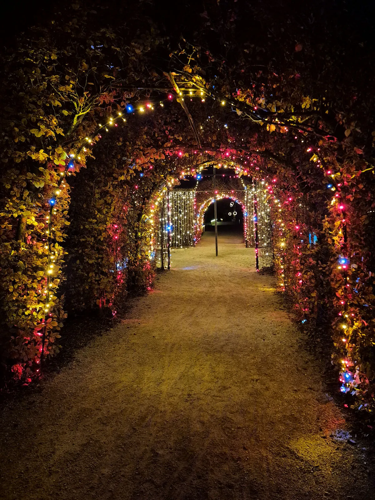 A light tunnel of arched branches decorated with lights over a gravel path