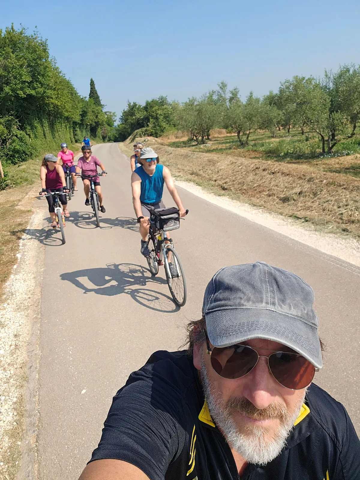 Cycling group on a road between olive groves